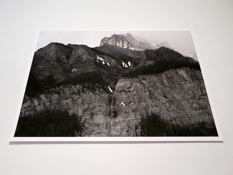 https://m.mirunadragan.com/files/gimgs/th-12_GGallery_Mountain_web.jpg