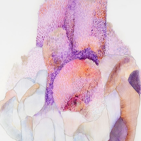 https://m.mirunadragan.com/files/gimgs/th-23_Erratics-Draw3-detail-web_v2.jpg